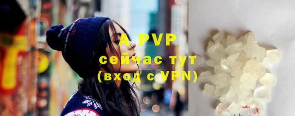 ГАЛЛЮЦИНОГЕННЫЕ ГРИБЫ Белокуриха