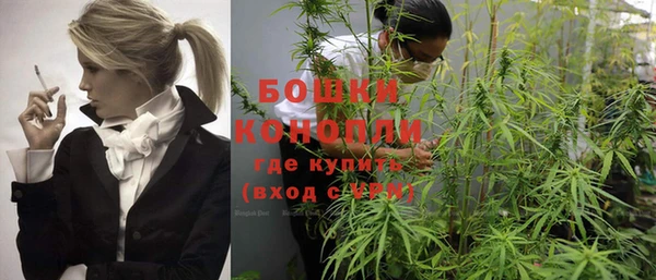 соль ск Богданович