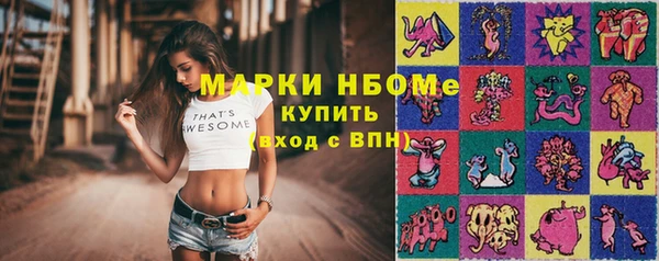 ГАЛЛЮЦИНОГЕННЫЕ ГРИБЫ Белокуриха