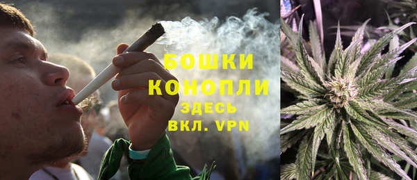 ГАЛЛЮЦИНОГЕННЫЕ ГРИБЫ Белокуриха