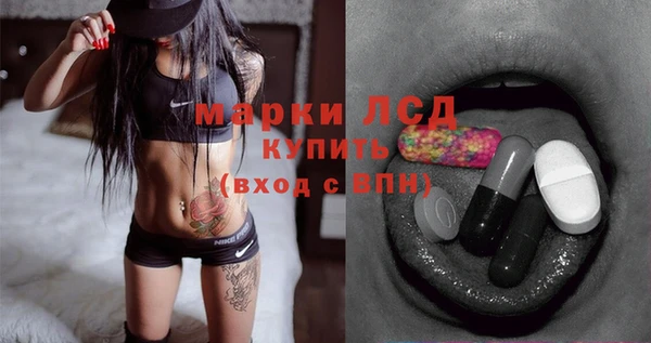 ГАЛЛЮЦИНОГЕННЫЕ ГРИБЫ Белокуриха