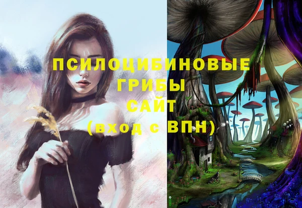 ГАЛЛЮЦИНОГЕННЫЕ ГРИБЫ Белокуриха