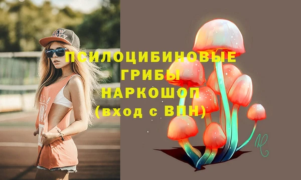 хмурый Богородицк
