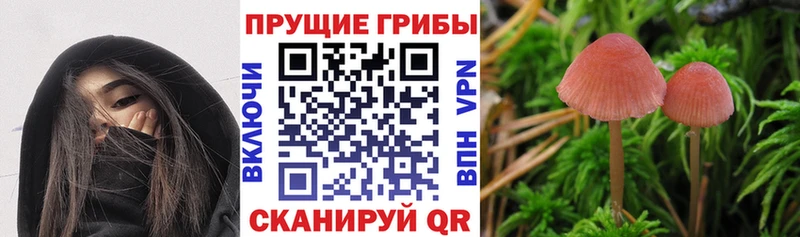Галлюциногенные грибы ЛСД  Бирск 